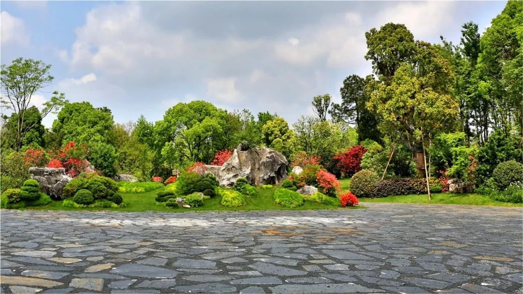 人文園林亮相首屆全國園林綠化養護管理產業峰會，共繪行業發展新藍圖